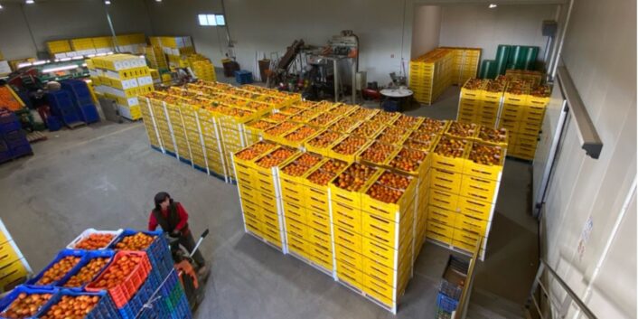 The Power of Traceability: How ANYFION Brings Transparency to Greek Organic Citrus